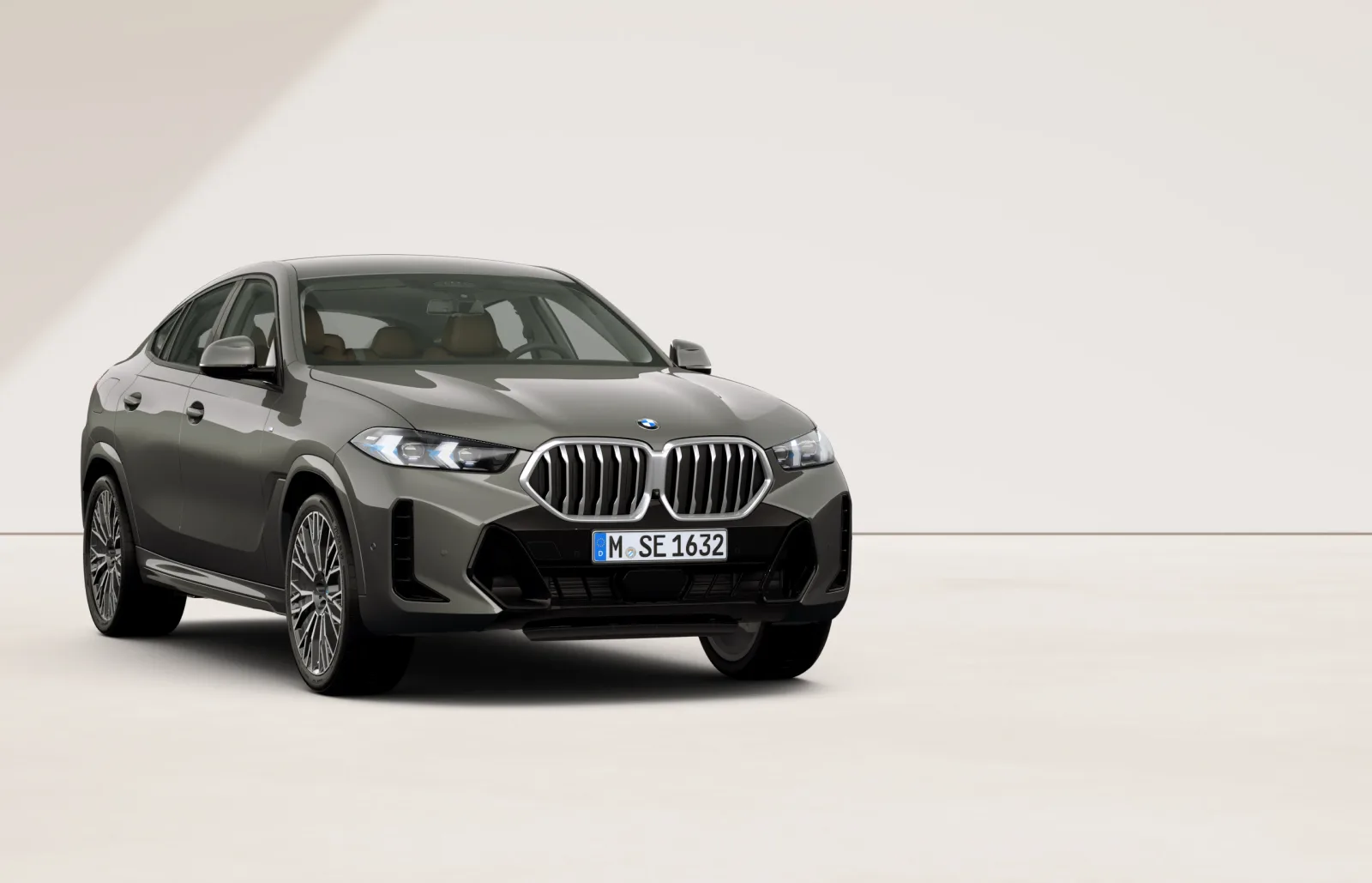 BMW X6 — ngoại thất 1